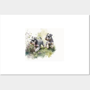 Two Miniature Schnauzers Playing Watercolour Painting Posters and Art